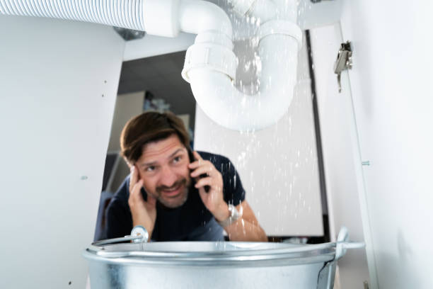Best Plumbing Inspection Services  in Sinton, TX